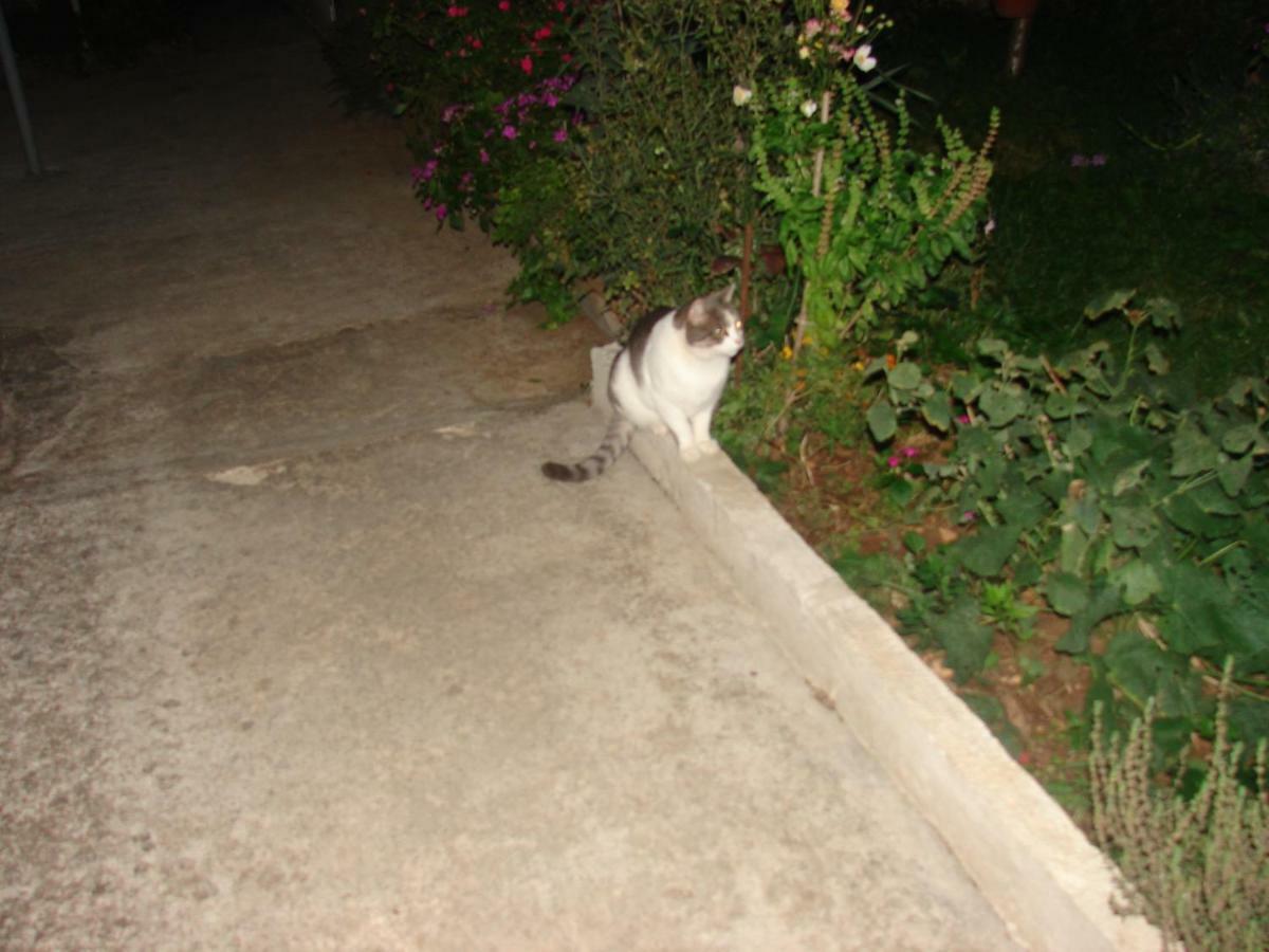 Filip 2 Hotel Biograd Na Moru Exterior photo